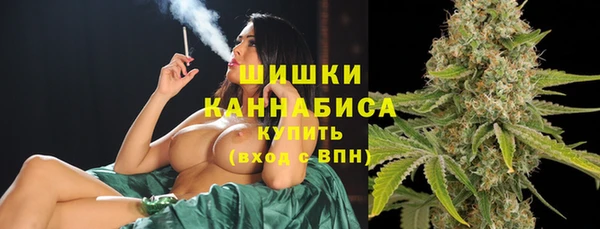 гашик Вязьма