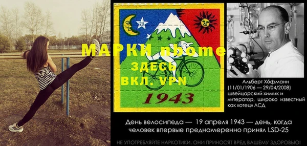 индика Володарск