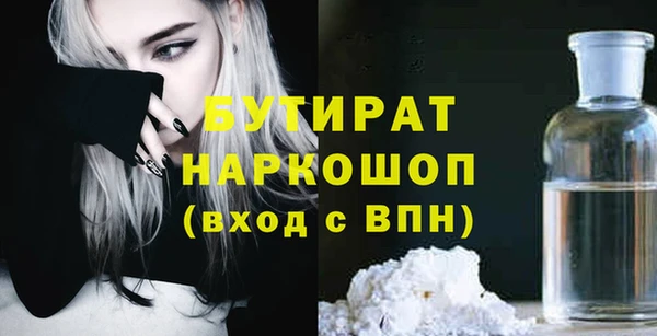 индика Володарск