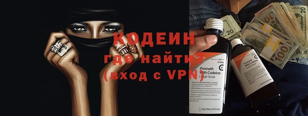 индика Володарск