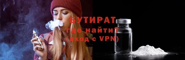 индика Володарск