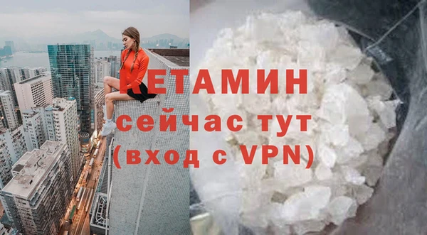 индика Володарск