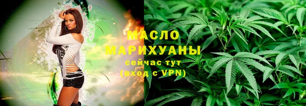 стаф Вяземский