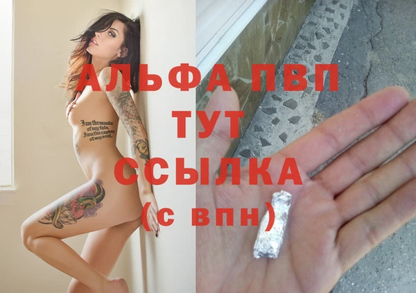 гашик Вязьма