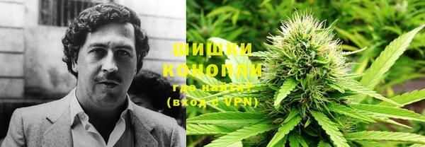 гашик Вязьма
